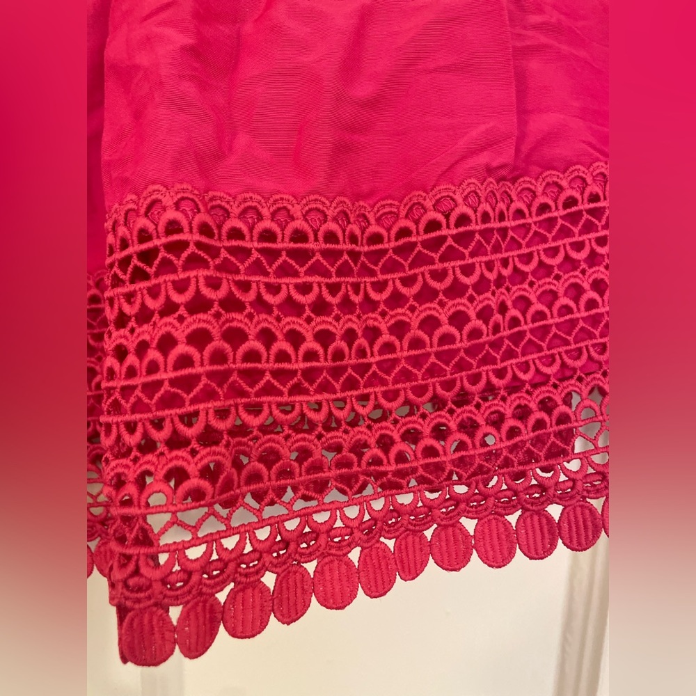 NWT! Haute Hippie Catherine Lace Trimmed Fuscia Cotton Silk Mini Skirt Size 8/L - Picture 4 of 11